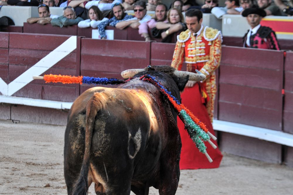 2016cordimamistres (354)