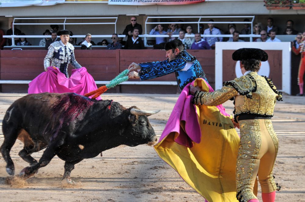 2016cordimamistres (355)
