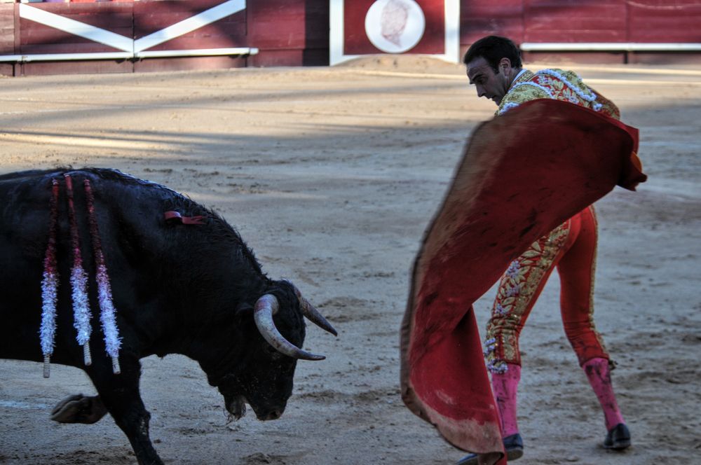 2016cordimamistres (36)