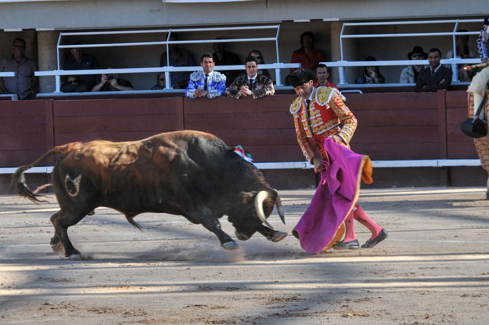 2016cordimamistres (364)
