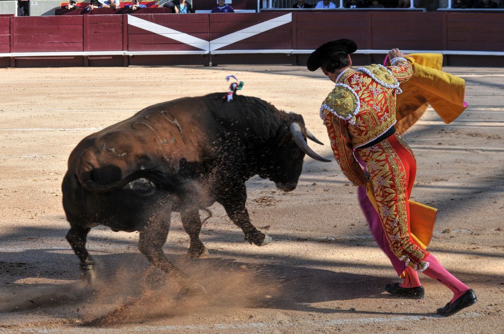 2016cordimamistres (367)