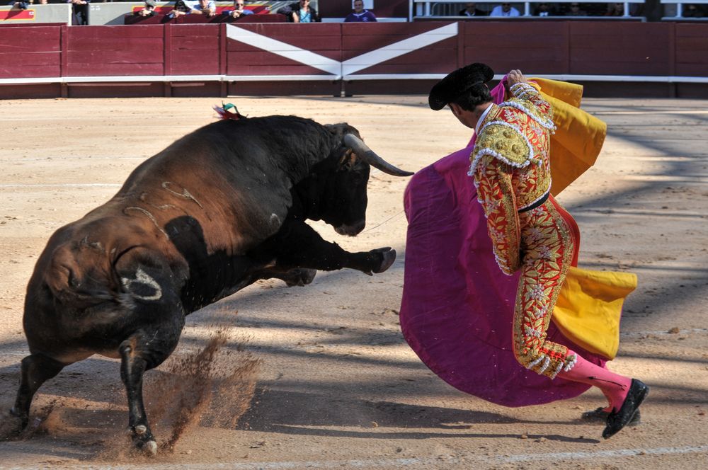 2016cordimamistres (368)