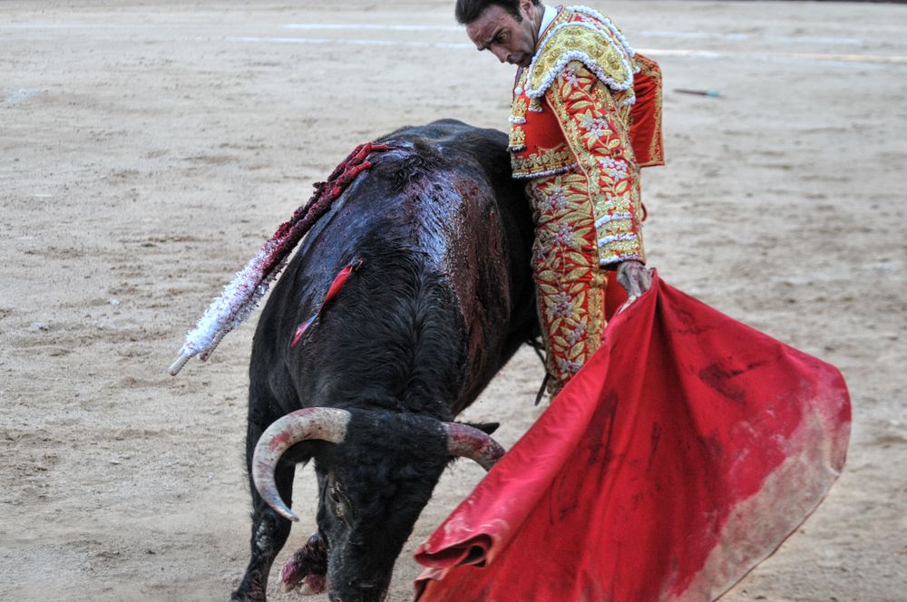 2016cordimamistres (38)