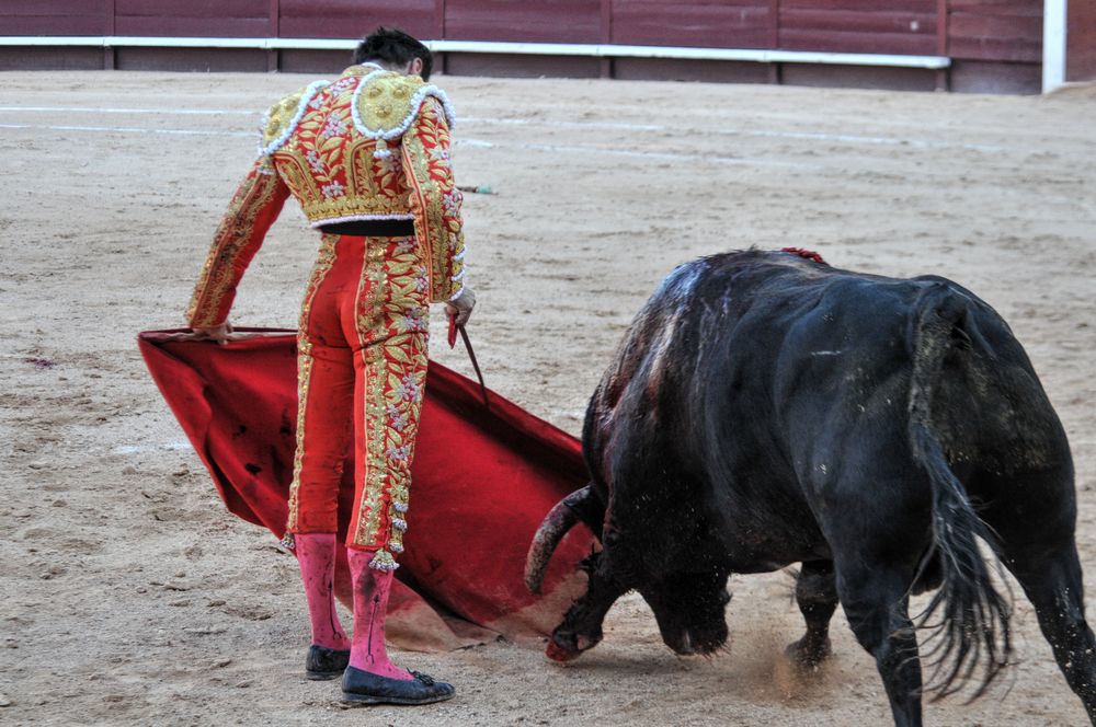 2016cordimamistres (39)