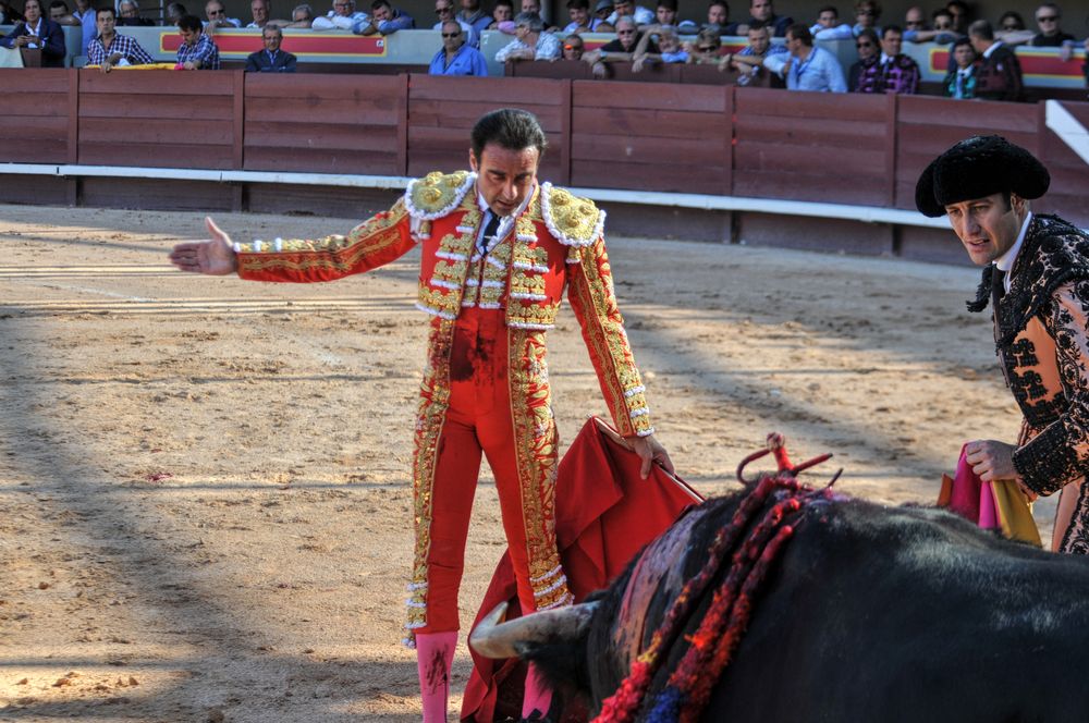 2016cordimamistres (393)