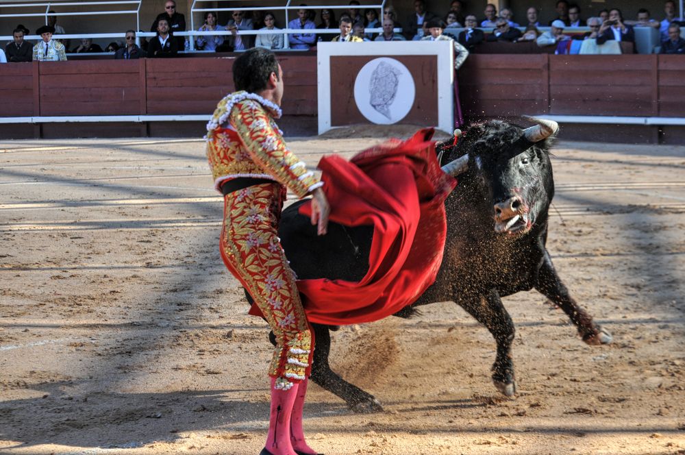 2016cordimamistres (399)
