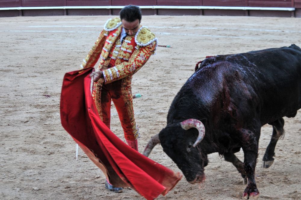 2016cordimamistres (40)