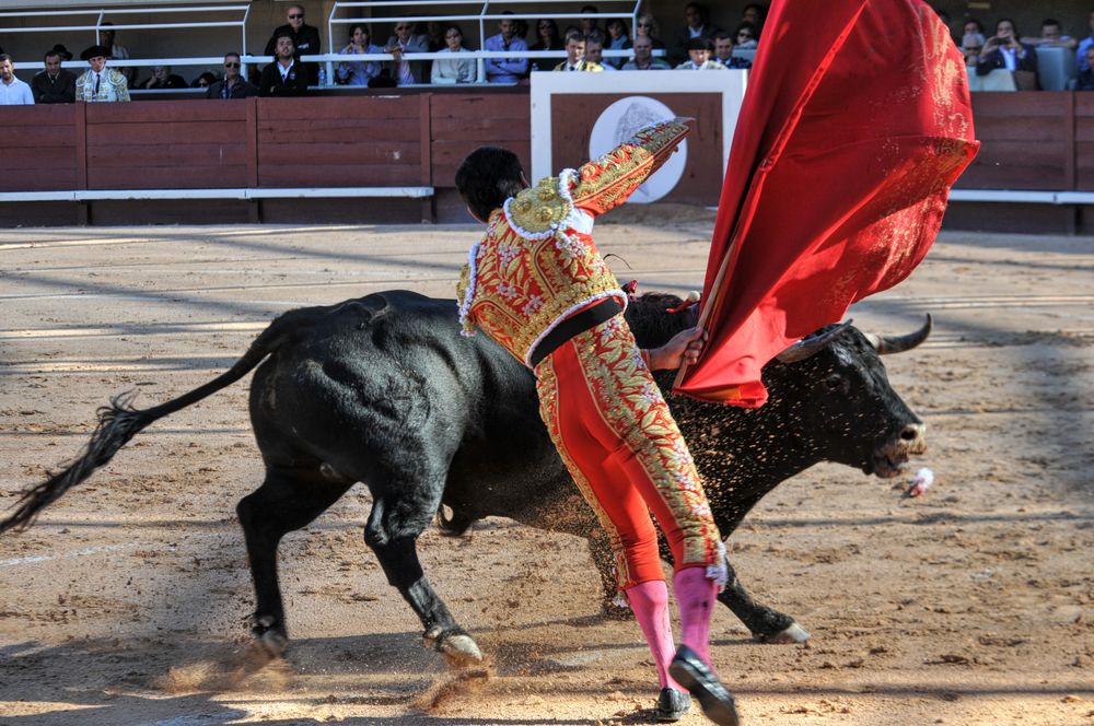 2016cordimamistres (400)
