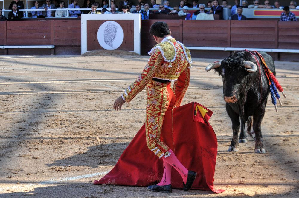 2016cordimamistres (404)