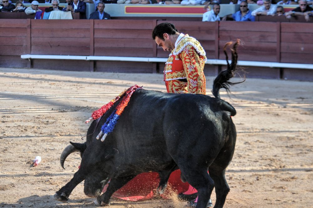 2016cordimamistres (405)