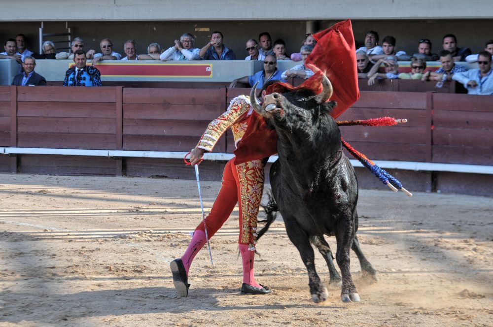 2016cordimamistres (406)