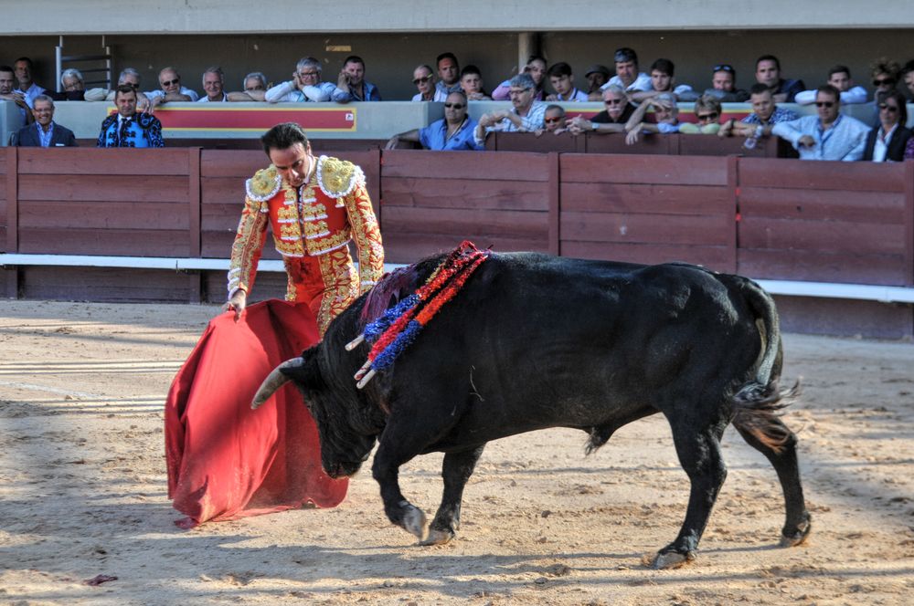 2016cordimamistres (407)
