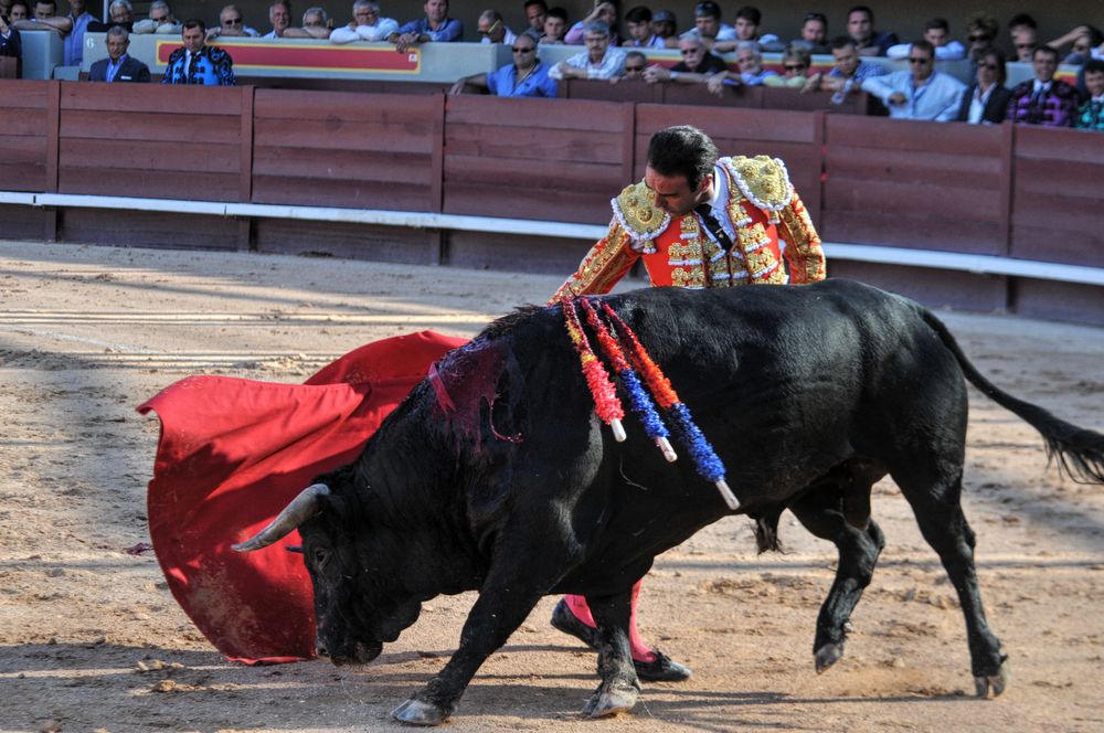 2016cordimamistres (409)