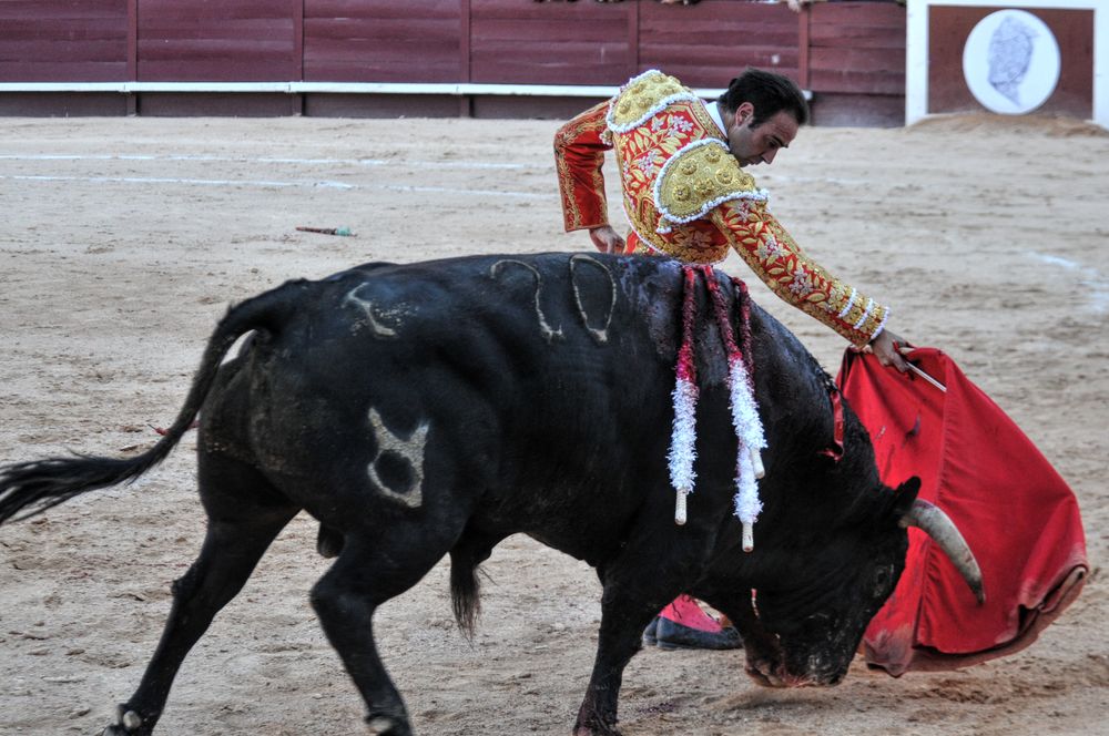 2016cordimamistres (41)