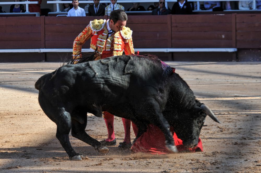 2016cordimamistres (413)