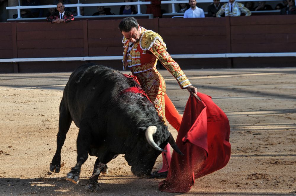 2016cordimamistres (416)