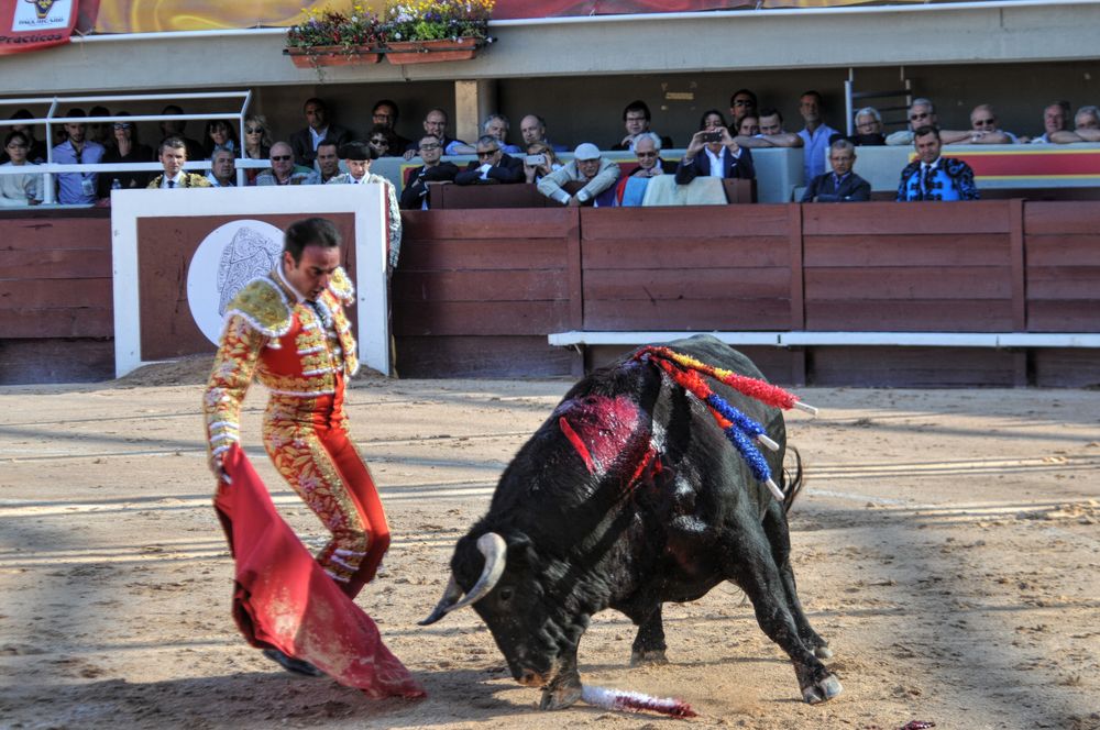 2016cordimamistres (418)
