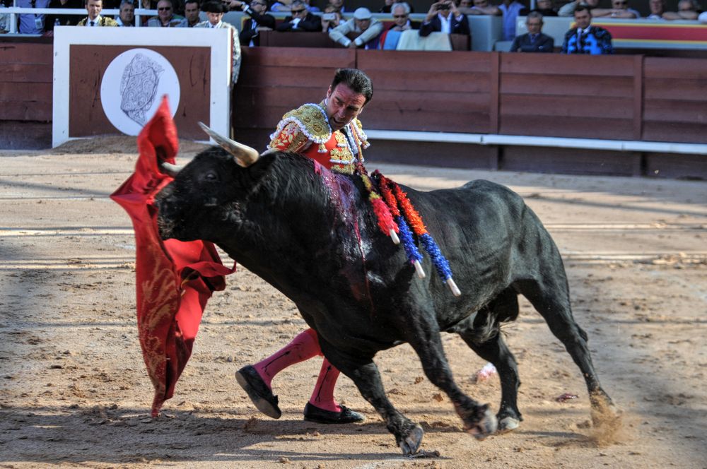 2016cordimamistres (419)