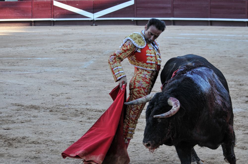 2016cordimamistres (42)