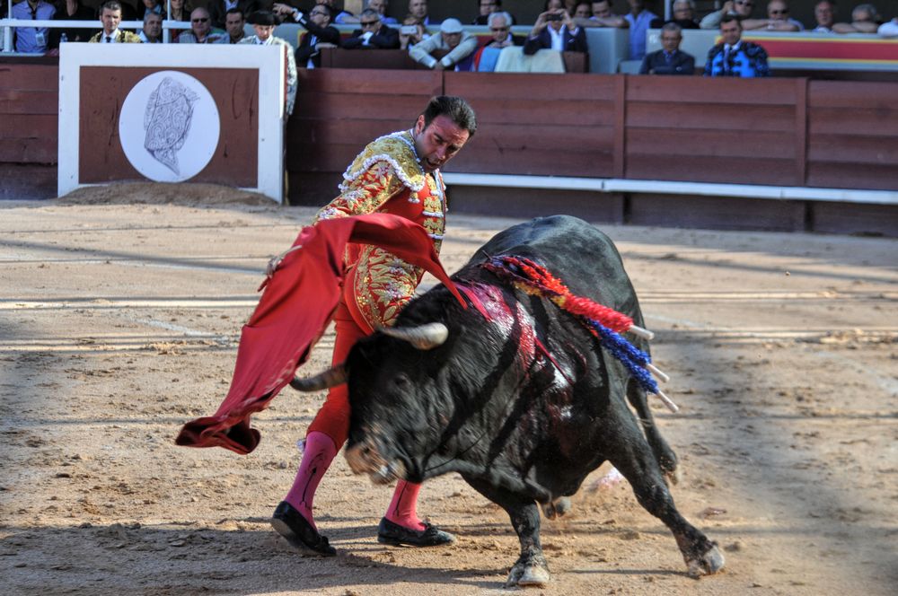 2016cordimamistres (420)