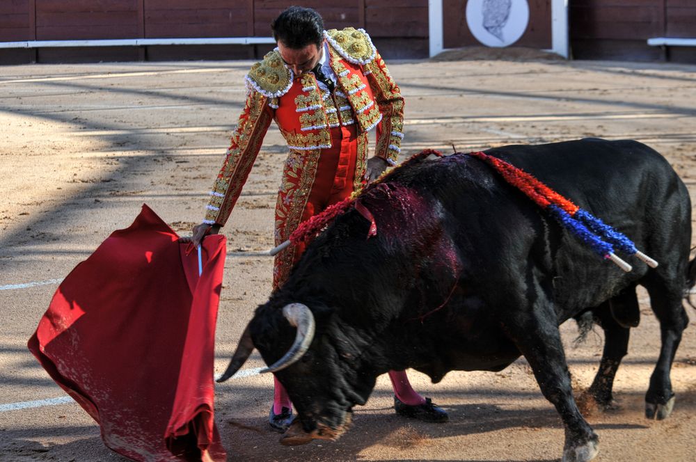 2016cordimamistres (421)