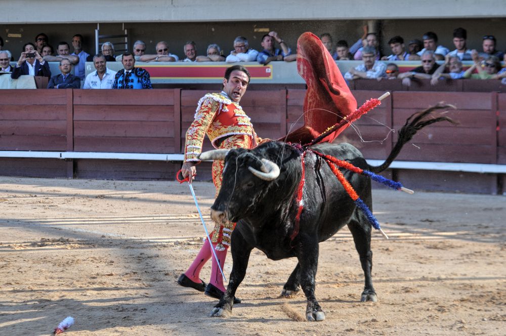2016cordimamistres (423)