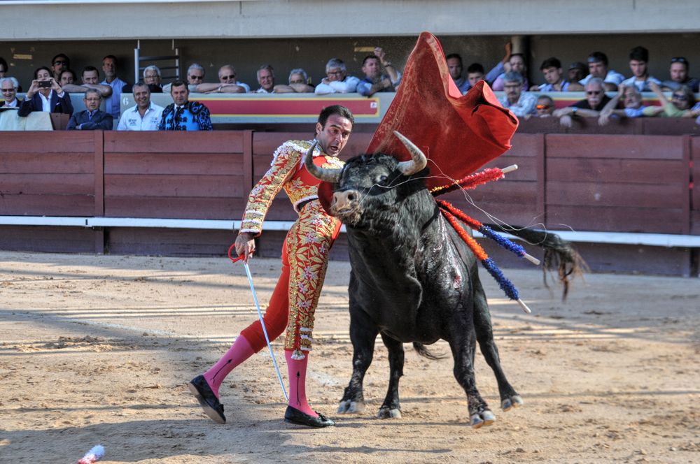 2016cordimamistres (424)