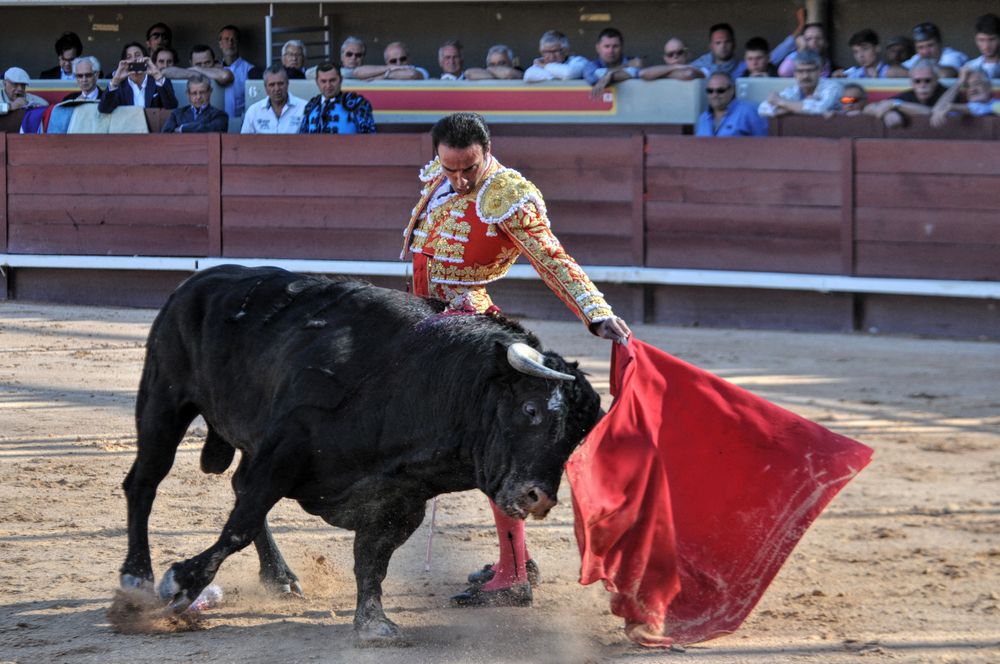 2016cordimamistres (426)