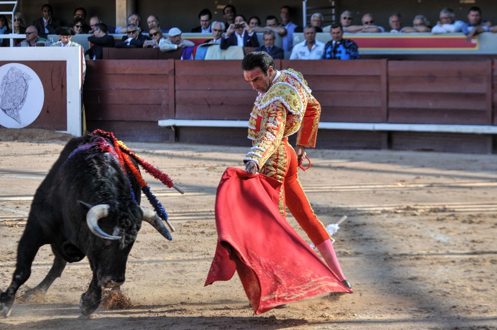 2016cordimamistres (428)