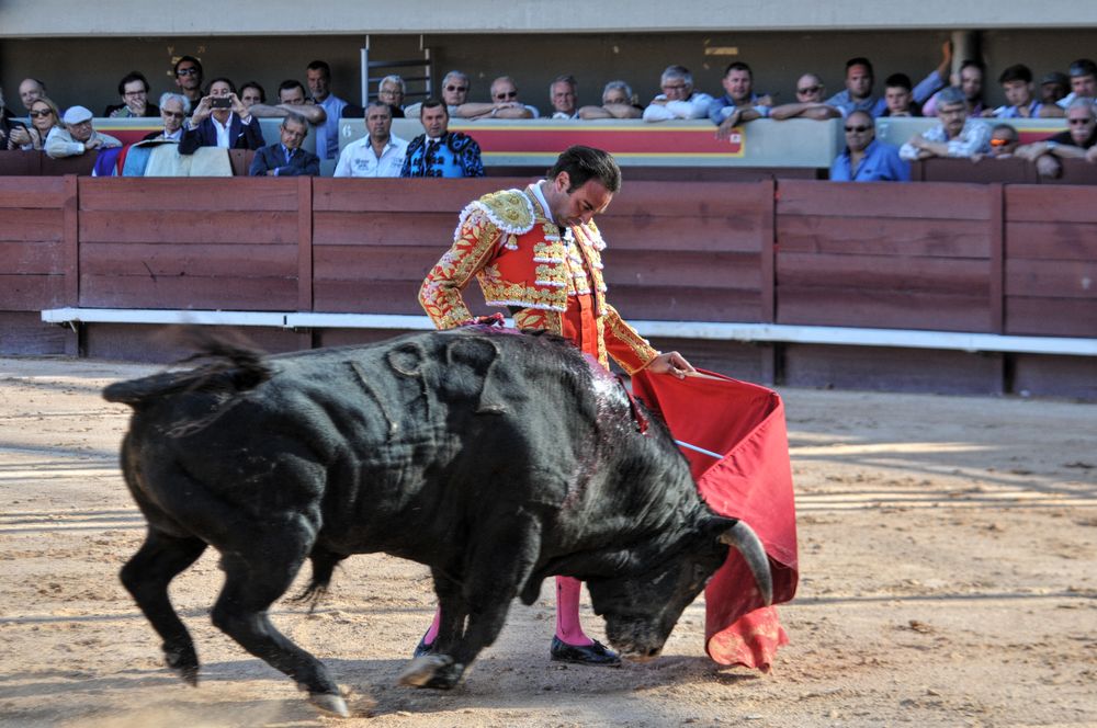 2016cordimamistres (429)