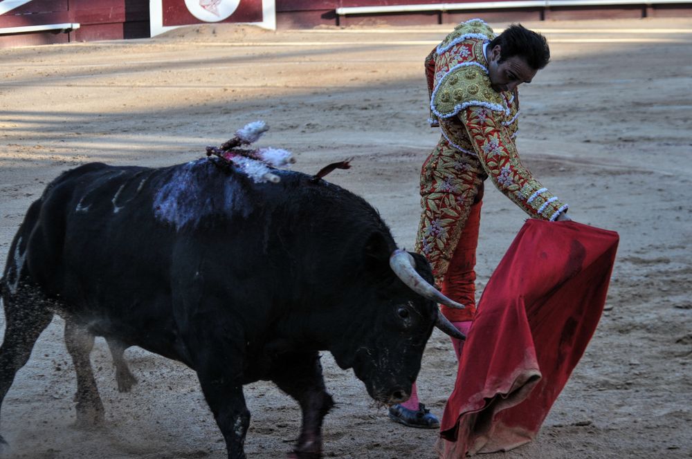 2016cordimamistres (43)