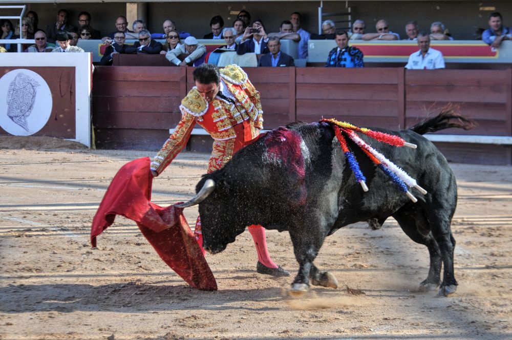 2016cordimamistres (432)