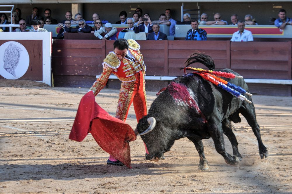 2016cordimamistres (433)