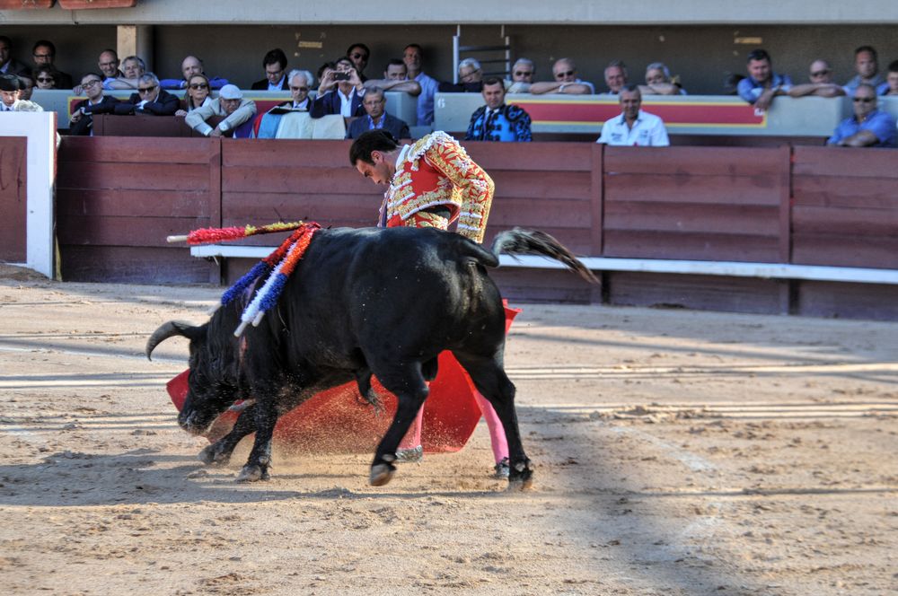 2016cordimamistres (434)