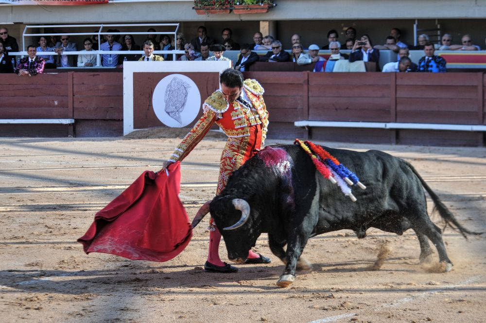 2016cordimamistres (437)