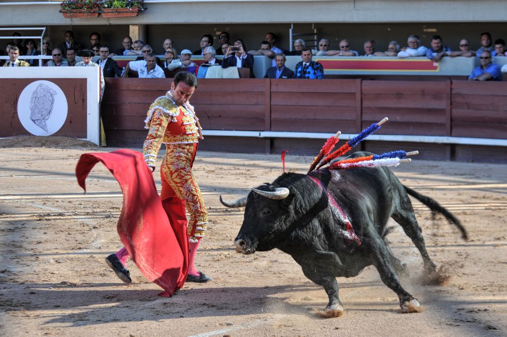 2016cordimamistres (439)