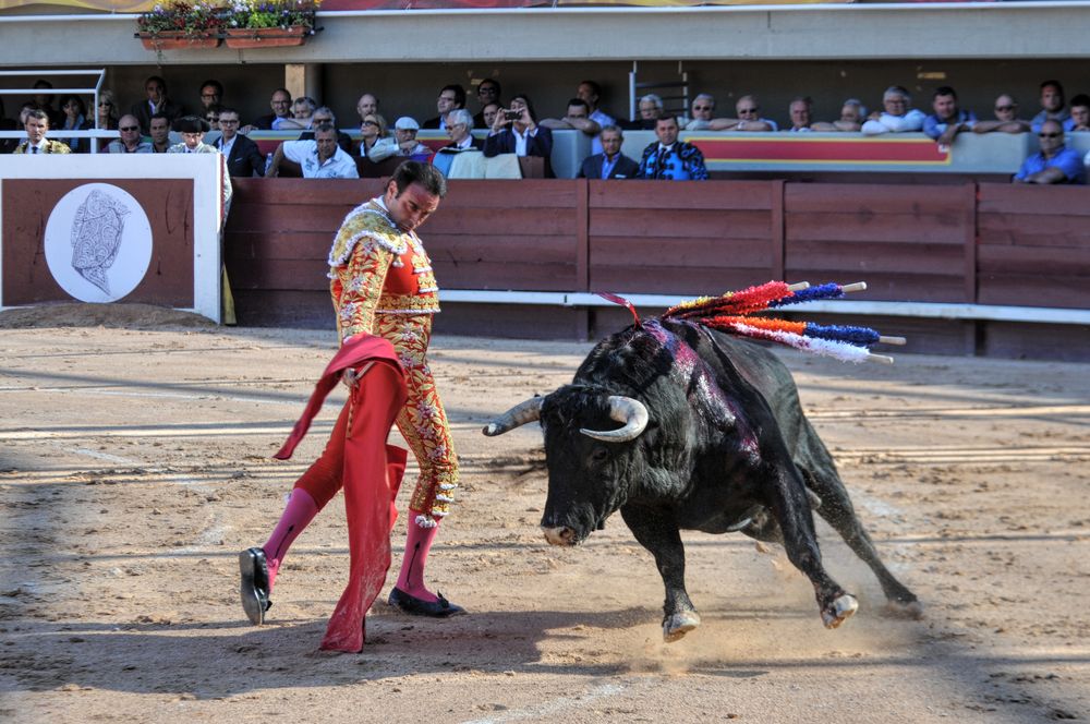 2016cordimamistres (440)