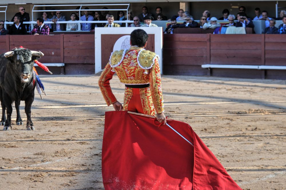 2016cordimamistres (441)