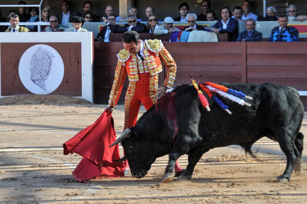 2016cordimamistres (444)