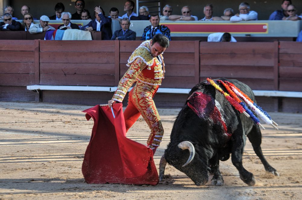 2016cordimamistres (445)