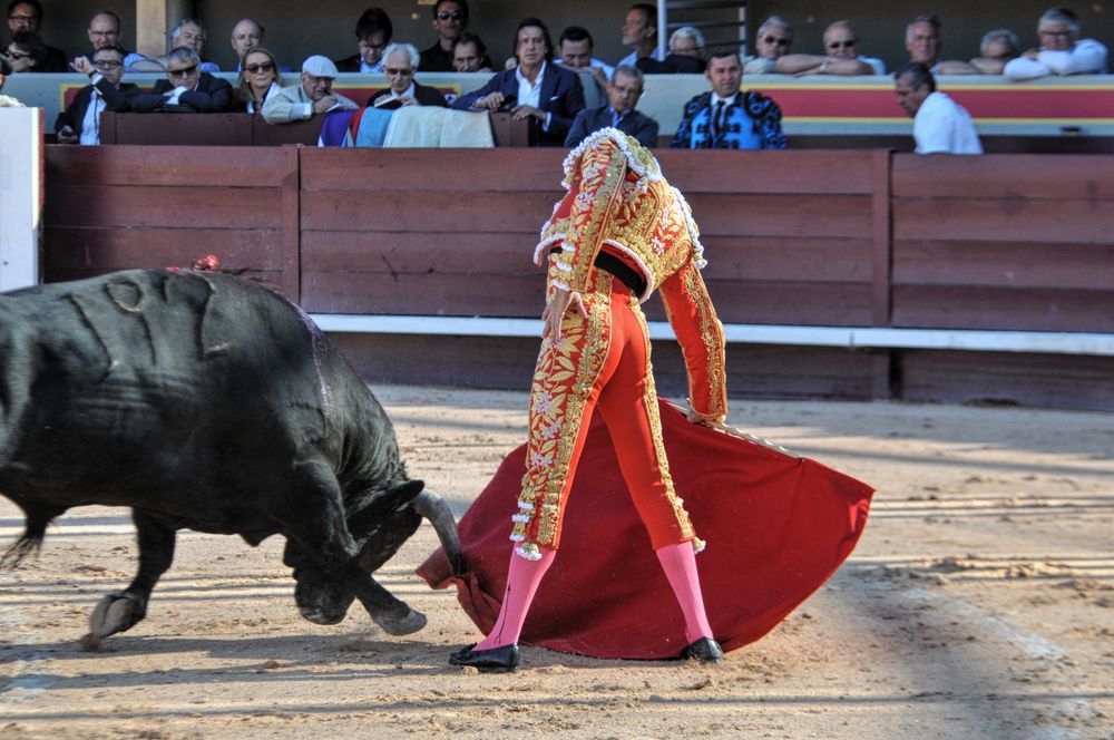 2016cordimamistres (446)