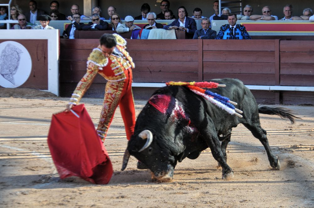 2016cordimamistres (447)