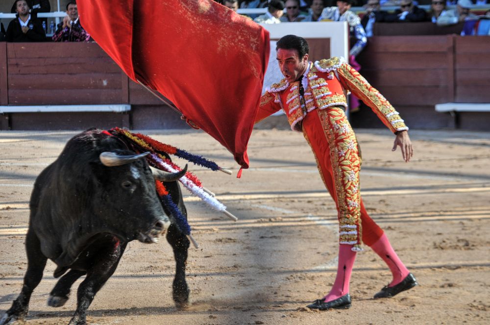 2016cordimamistres (448)