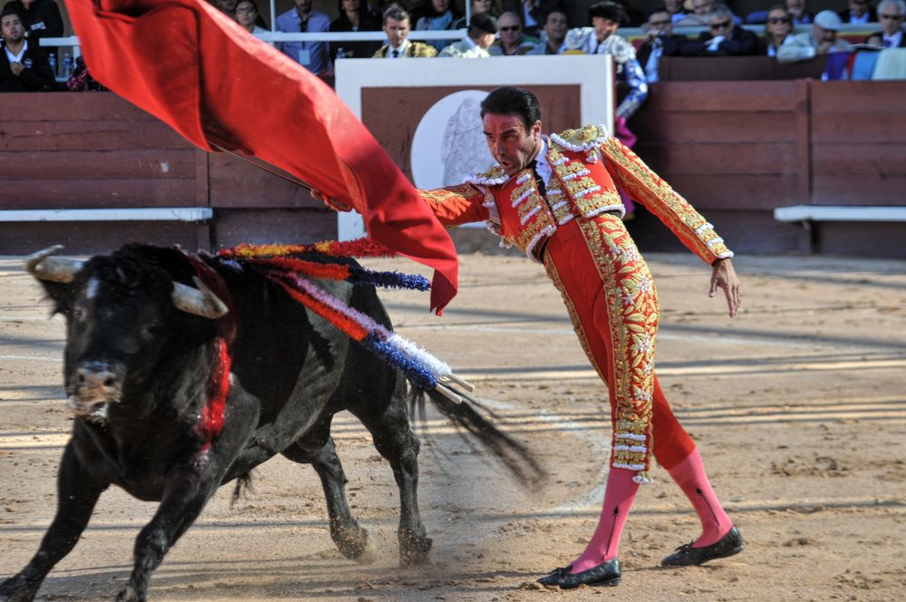 2016cordimamistres (449)