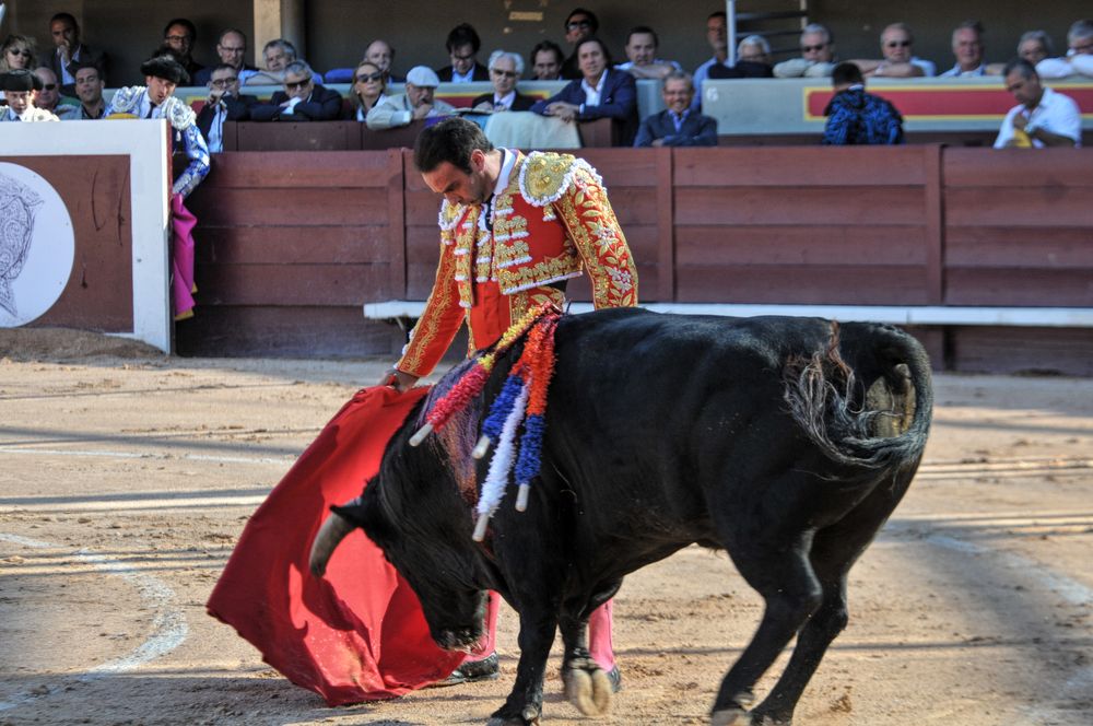 2016cordimamistres (450)