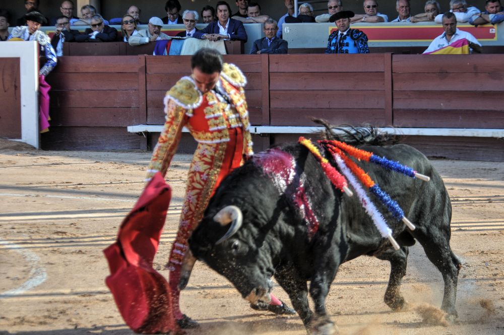 2016cordimamistres (452)