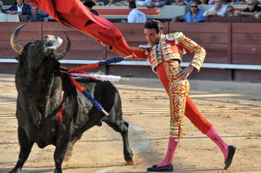2016cordimamistres (453)