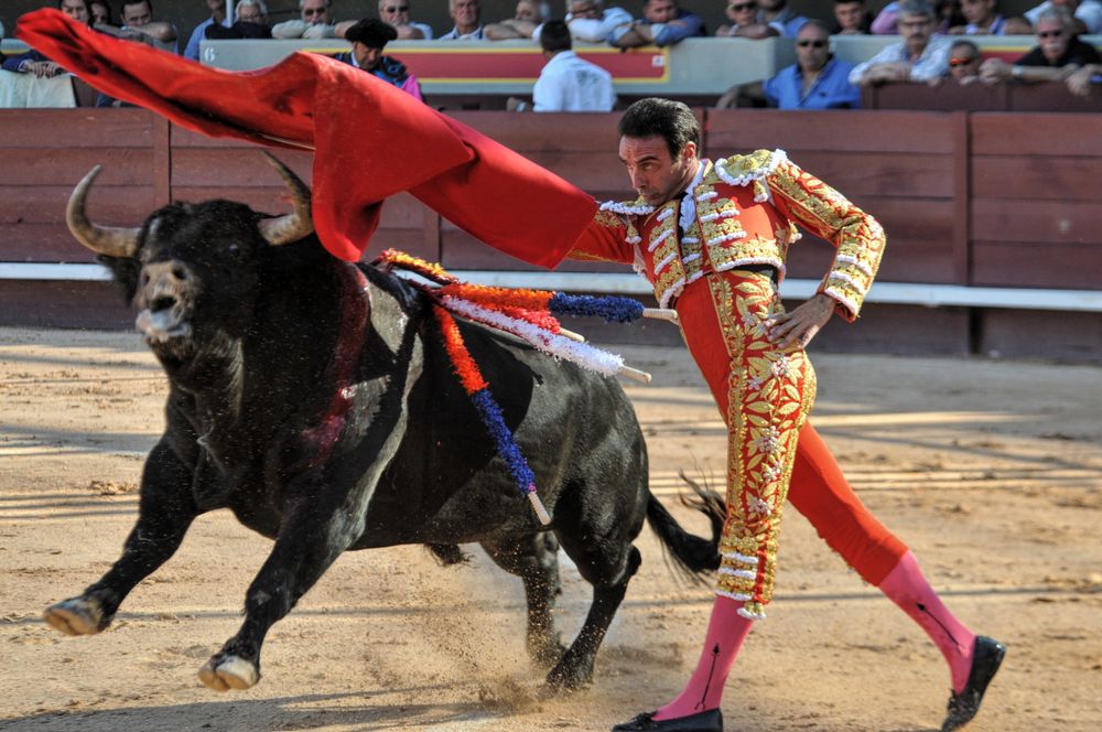 2016cordimamistres (454)
