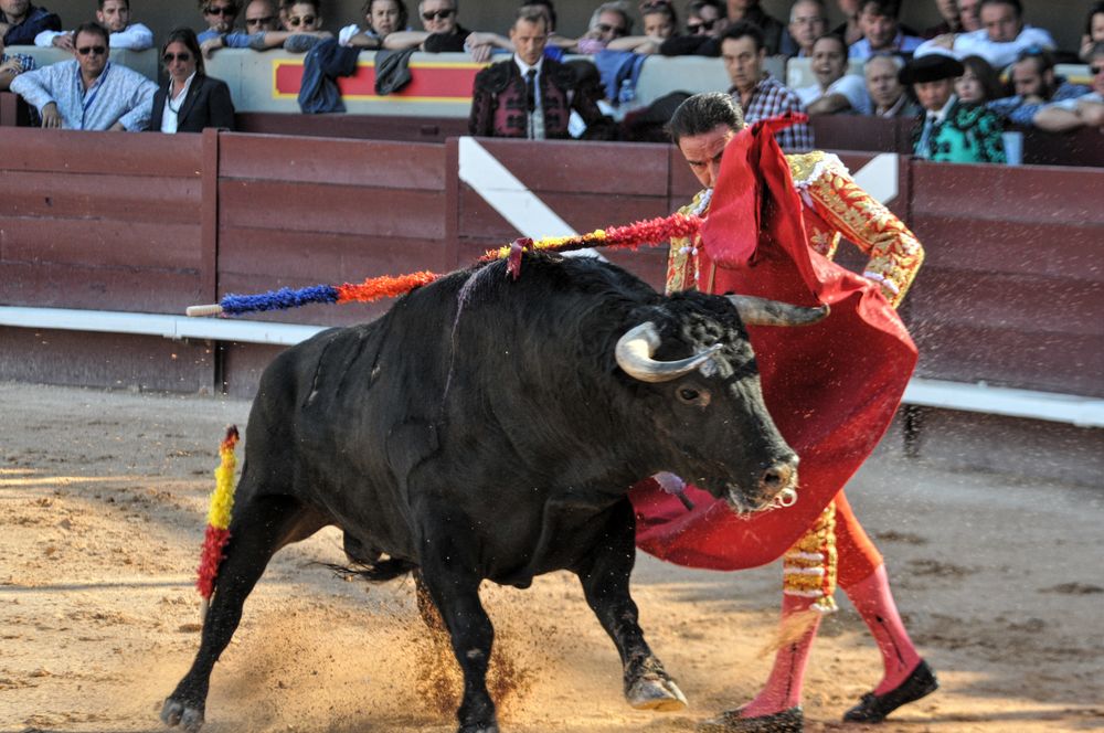 2016cordimamistres (456)