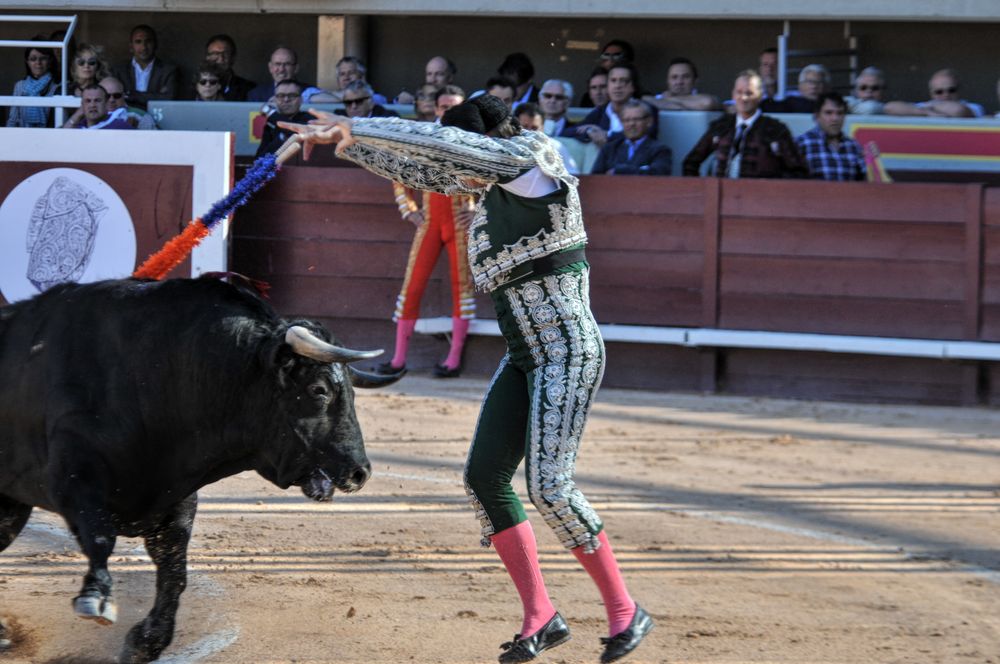2016cordimamistres (464)